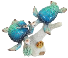 Turtle Product