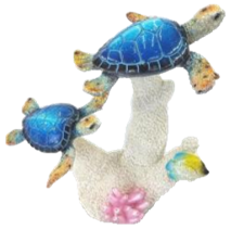 Turtle Product