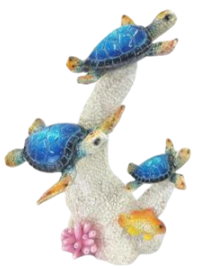 Turtle Product