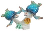 Turtle Product
