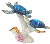 Turtle Product