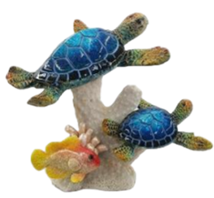 Turtle Product