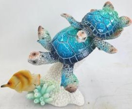 Turtle Product