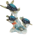 Turtle Product