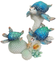 Turtle Product