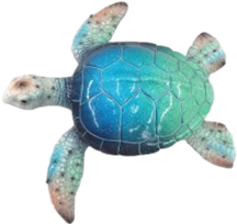 Turtle Product
