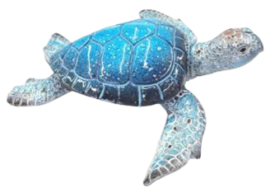 Turtle Product