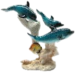 Dolphin Product