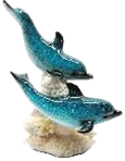Dolphin Product