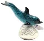 Dolphin Product