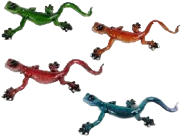 Lizard Product