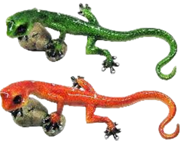 Lizard Product