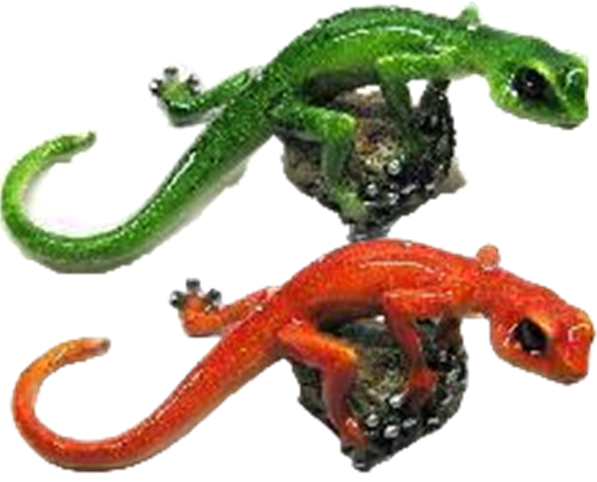 Lizard Product