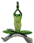 Frog Product