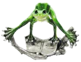 Frog Product