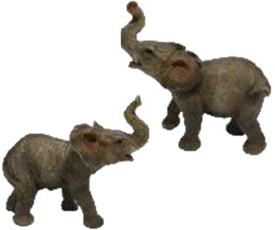 Elephant Product