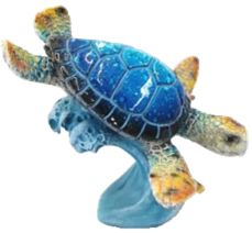 Turtle Product