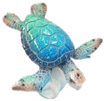 Turtle Product