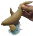 Dolphin Product