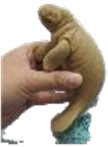 Fur Seal Product
