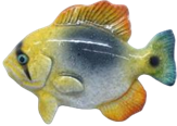 Fish Product
