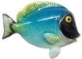 Fish Product