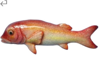 Fish Product