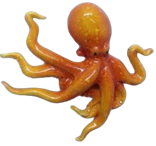 Cephalopod Product
