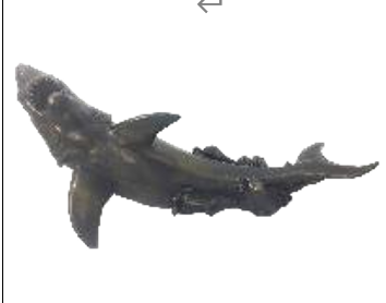 Shark Product