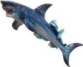 Shark Product