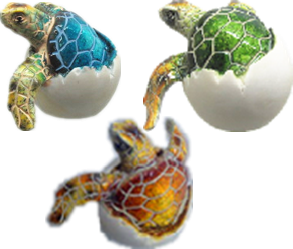 Turtle Product