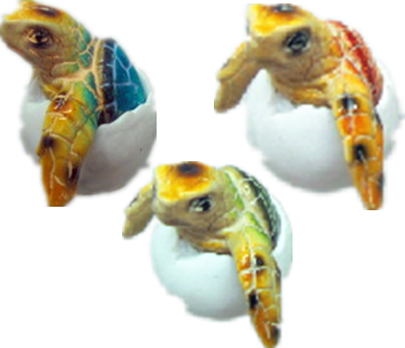 Turtle Product