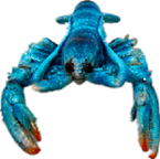 Shrimp Product