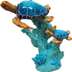 Turtle Product