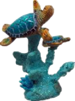 Turtle Product