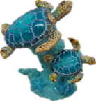Turtle Product