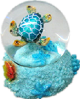 Turtle Product