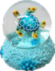 Turtle Product