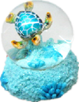 Turtle Product