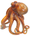 Cephalopod Product