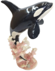 Whale Product