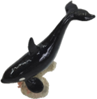 Whale Product