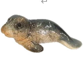 Fur Seal Product