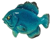 Fish Product