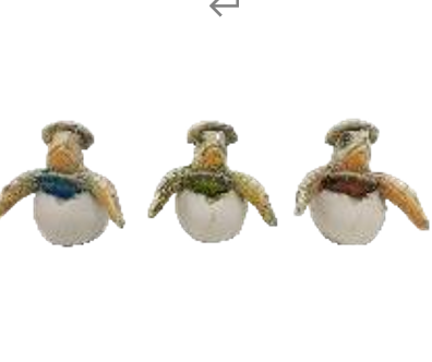 Turtle Product