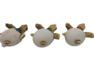 Turtle Product
