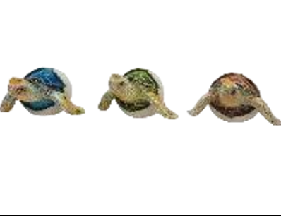 Turtle Product
