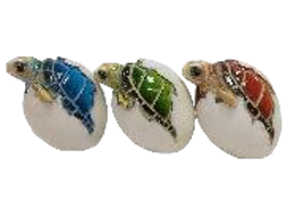 Turtle Product