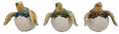 Turtle Product