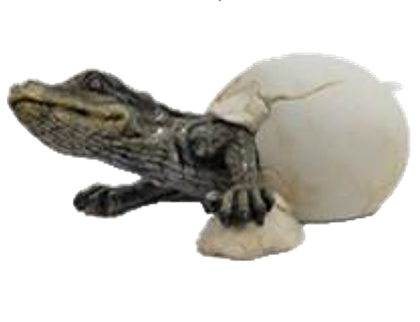 Crocodile Product